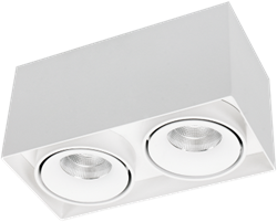 Pragmalux LED Opbouwspot Kaja 2V 2x11W 4000K CRI>93 38° 2x850lm Ø200x100 Buitenmaat - Hoogte Ø100 Wit - Dimbaar