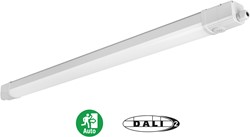 LED TL Waterdicht Armatuur Hera IP66 120cm max.33W 4800lm 3000K-4000-6000K 3-CCT 6x2,5mm Doorvoerbedrading DALI2(1/2x36W) + Noodmodule 1uur zelftest