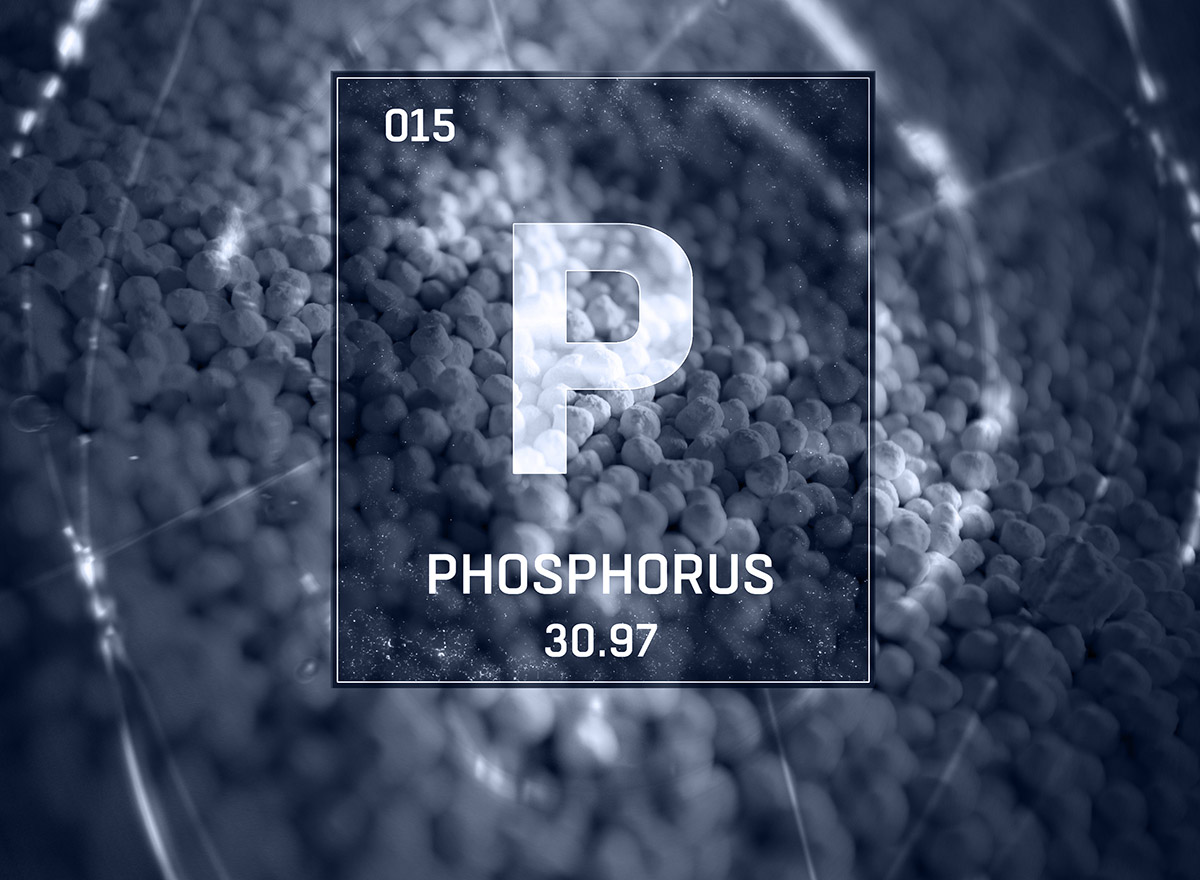 Pragma2024 - Innovatie Fosfor