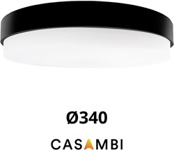 Pragmalux LED Plafonnière / Wandarmatuur Dura-M Zwart Ø340 IP64 IK10 max.18W 2200-2300lm 3000K-3500K-4000K 3-CCT + Casambi driver