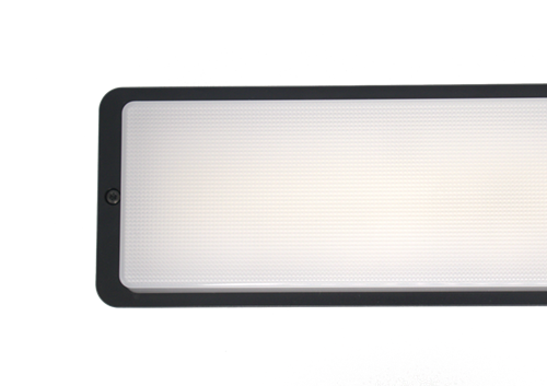 Pragmalux LED Portiek Port-M PKVW IP66 IK10 2,75-5W 295-570lm 3000K-4000K 2-CCT + noodmodule 1H autotest Excl. Frame-10