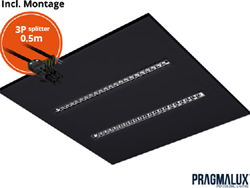 Pragmalux LED Inlegarmatuur Modul 60x60cm 26-30W 3500-4200lm 3000K-4000K 2CCT UGR<16 zwart RAL9005 +driver incl. 3P Aansluitsnoer en splitter en trekontlasting, 1 in 2 uit