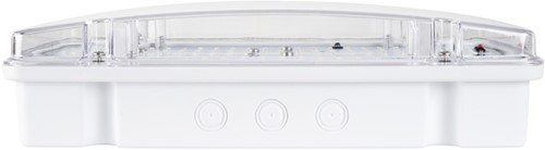 Pragmalux MAXIMUS Opbouw Noodverlichting IP65 6.5-10W 1000-1500lm LiFePO4 1uur Zelftest-3