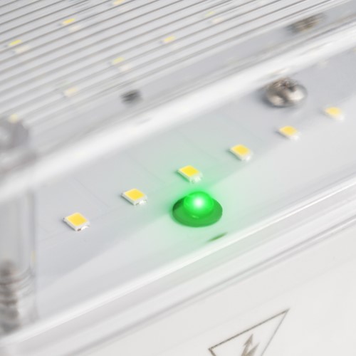 Pragmalux MAXIMUS Opbouw Noodverlichting IP65 6.5-10W 1000-1500lm LiFePO4 1uur Zelftest-5