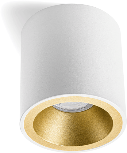 Pragmalux Opbouwspot Cinto Rond Ring Goud RAL1003-1