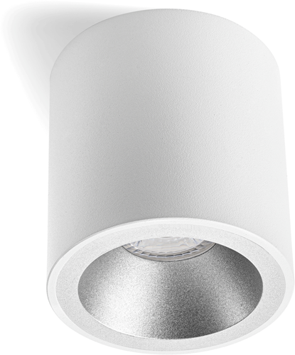 Pragmalux Opbouwspot Cinto Rond Ring Zilver RAL9006-1