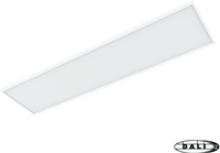 Pragmalux LED Paneel 30x120cm Essence G3 34W 3000K-6000K 3-CCT 4250-4350lm UGR<19 +Philips DALI2 Push-dim driver (2x28W)