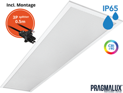 Pragmalux LED Paneel 30x120cm Sigma G2 IP65 CRI>90 26-37W 3000K-4000K 2-CCT 3550-5000lm UGR<19 +Driver incl. 3P Aansluitsnoer en splitter en trekontlasting, 1 in 2 uit (2x28W/2x36W)