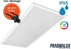 Pragmalux LED Paneel 30x60cm Sigma G2 IP65 CRI>90 9-20W 3000K-4000K 2-CCT 1000-2500lm UGR<19 +Driver incl. 3P Aansluitsnoer en splitter en trekontlasting, 1 in 2 uit (2x14W/2X18W)