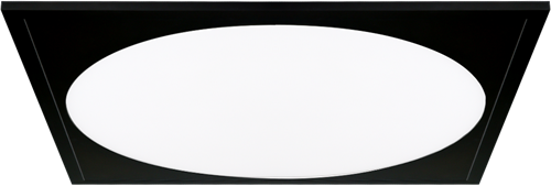 Pragmalux LED Paneel 60x60cm Rondix IP54 28-40W 3CCT 3250-5000lm UGR<19 zwart RAL9005 + Philips Driver incl.eurosnoer 2m (4x14W)-2