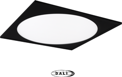 Pragmalux LED Paneel 60x60cm Rondix IP54 36W 3CCT 4150-4500lm UGR<19 zwart RAL9005 + Philips DALI-2 Driver (4x14W)