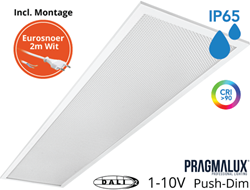 Pragmalux LED Paneel 30x120cm Sigma G2 IP65 CRI>90 26-37W 5000K-6500K 2-CCT 3700-5300lm UGR<19 +Universele Driver (DALI2, 1-10V, Push-dim) incl. eurosnoer 2m wit(2x28W/2x36W)