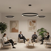 Pragmalux LED Pendelarmatuur Circo Ø600mm Prisma direct/indirect 28-56W 2650-5600lm 3CCT 3000-3500-4000K  CRI90 UGR<19 Zwart - DALI+ pendelset 3m-5