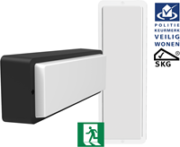 Pragmalux LED Portiek Port-M PKVW IP66 IK10 2,75-5W 295-570lm 3000K-4000K 2-CCT + noodmodule 1H autotest Excl. Frame