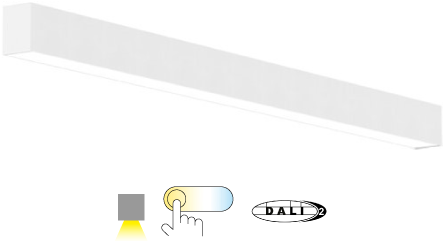 Pragmalux Skyline 1,2m DALI2 12,5-36W 1750-5300lm 2CCT 3000-4000K opaal wit RAL9016