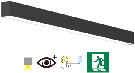 Pragmalux Skyline 1,2m 12,5-36W 1500-4550lm 2CCT 3000-4000K prisma zwart RAL9005 + Noodmodule 3 uur