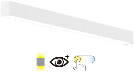 Pragmalux Skyline 1,2m 12,5-36W 1700-5050lm 2CCT 3000-4000K met uplight 9W 1300lm prisma wit RAL9016