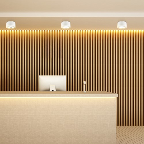 Pragmalux LED opbouw downlight Relio IP65 facet reflector zwart 20W 1800-2000lm 2700K-3000K-4000K 3-CCT CRI>90 UGR<19 60D Ø130x115mm-5