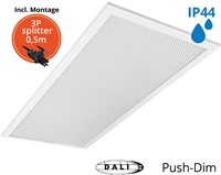 Pragmalux LED Paneel 30x60cm Sigma G2 IP44 20W 3000K-4000K 2-CCT 2400-2500lm UGR<19 +TCI DALI Driver incl. 3P Aansluitsnoer en splitter en trekontlasting, 1 in 2 uit(2x14W)