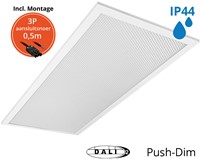 Pragmalux LED Paneel 30x60cm Sigma G2 IP44 20W 3000K-4000K 2-CCT 2400-2500lm UGR<19 +TCI DALI Driver incl. 3P Aansluitsnoer (2x14W)