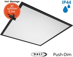 Pragmalux LED Paneel 60x60cm Sigma G2 Zwart IP44 38W 3000K-4000K 2-CCT 5000-5100lm UGR<19 +TCI DALI Driver incl. 3P Aansluitsnoer en splitter en trekontlasting, 1 in 2 uit(4x14W/4x18W)