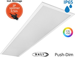 Pragmalux LED Paneel 30x120cm Sigma G2 IP65 CRI>90 37W 5000K-6500K 2-CCT 5200-5300lm UGR<19 +TCI DALI Driver incl. 3P Aansluitsnoer en splitter en trekontlasting, 1 in 2 uit(2x28W/2x36W)