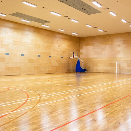 Pragmalux LED Balvast Sporthalarmatuur Sparta UGR IK10 60-150W 3CCT 3000-4000-6000K 9500-25000lm DALI wit RAL9003-3